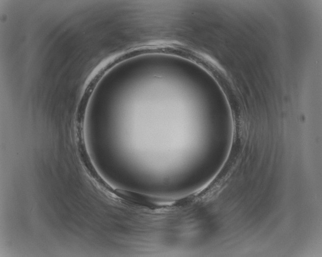 X0000080711412200612151122
