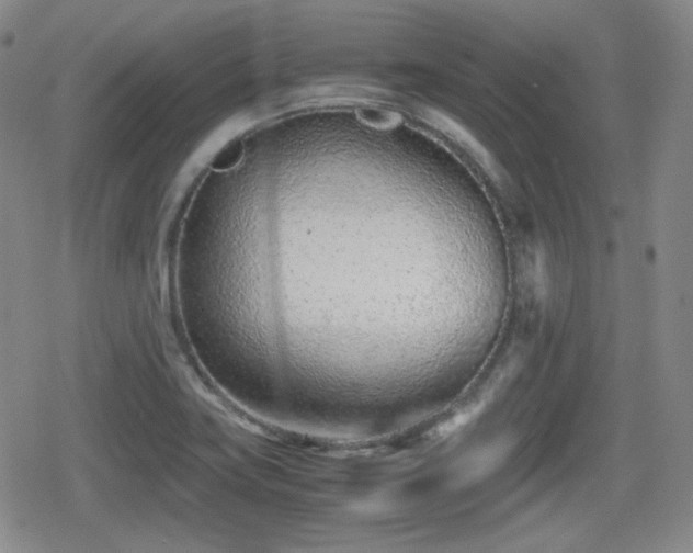 X0000080711419200612151122