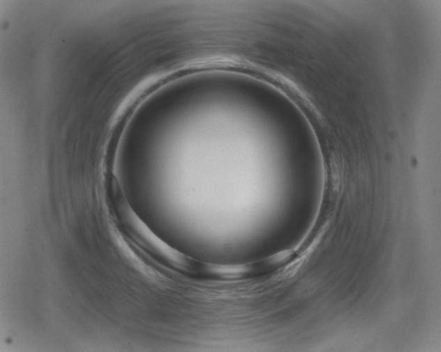 X0000080711422200612151122