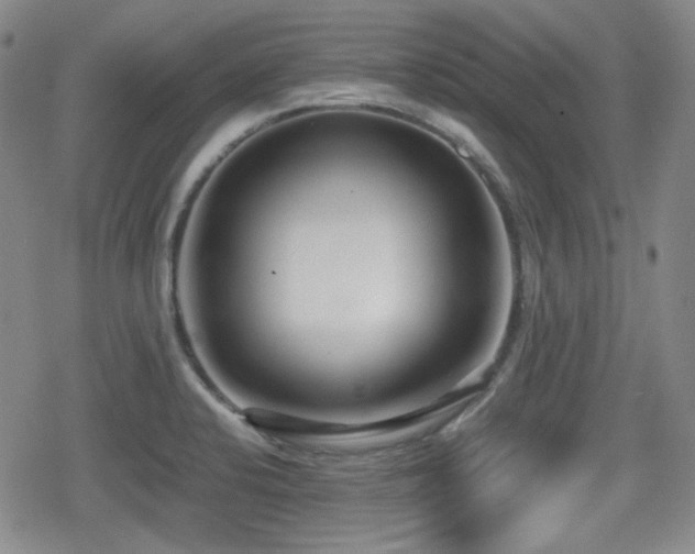 X0000080711424200612151122