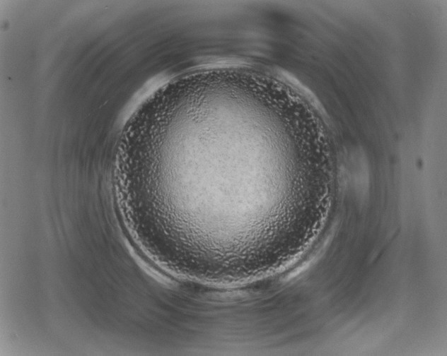 X0000080711425200612151122