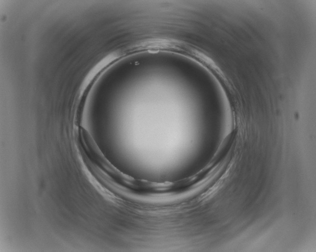 X0000080711426200612151122