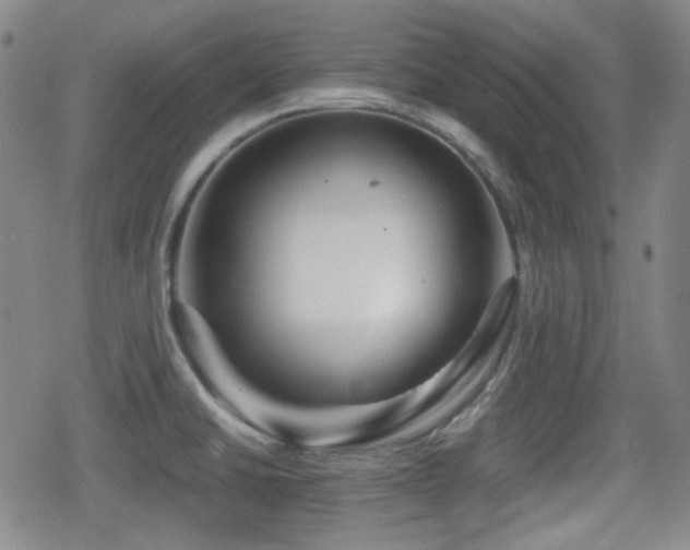 X0000080711430200612151122
