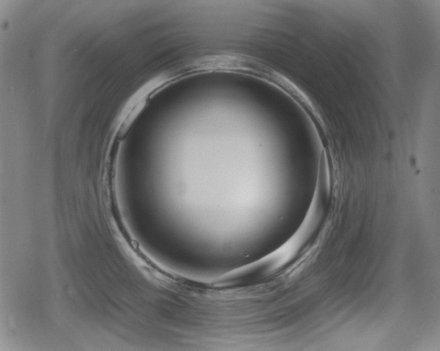 X0000080711434200612151123