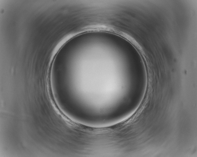 X0000080711440200612151123