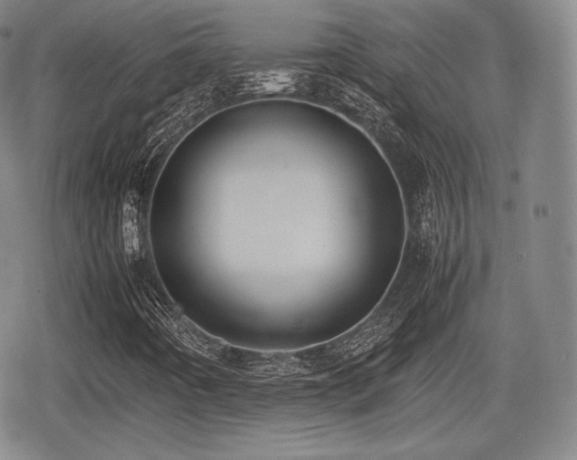 X0000080711442200612151122