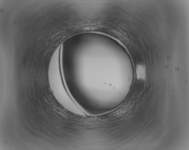 X0000080711444200612151122