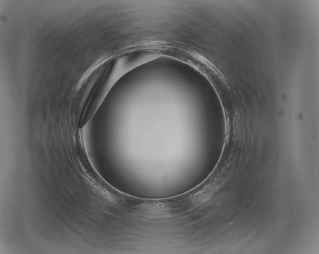 X0000080711450200612151122
