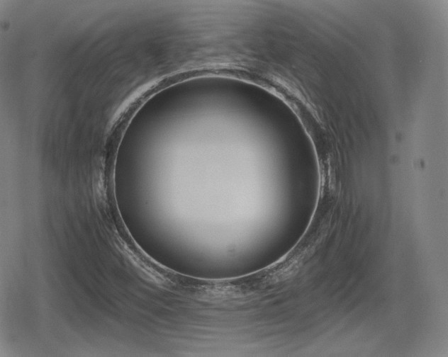 X0000080711452200612151122