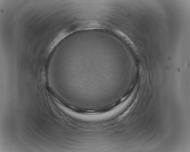 X0000080711457200612151122