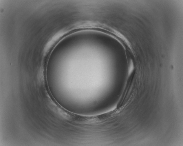 X0000080711464200612151121