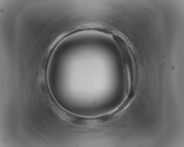 X0000080711465200612151121