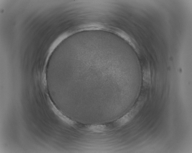 X0000080711466200612151121