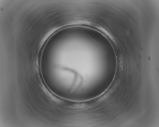 X0000080711468200612151121
