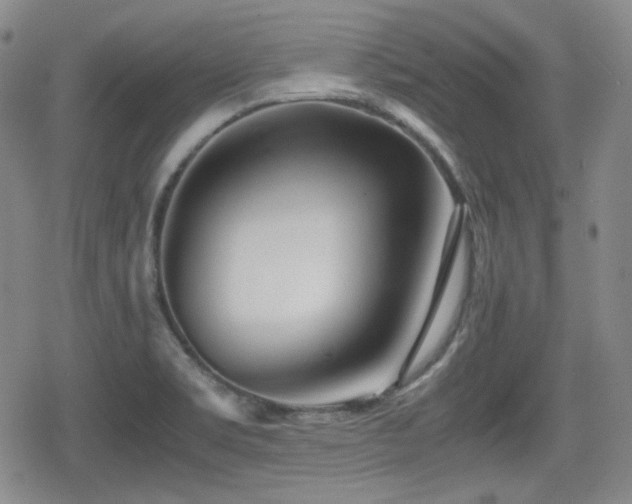 X0000080711469200612151121