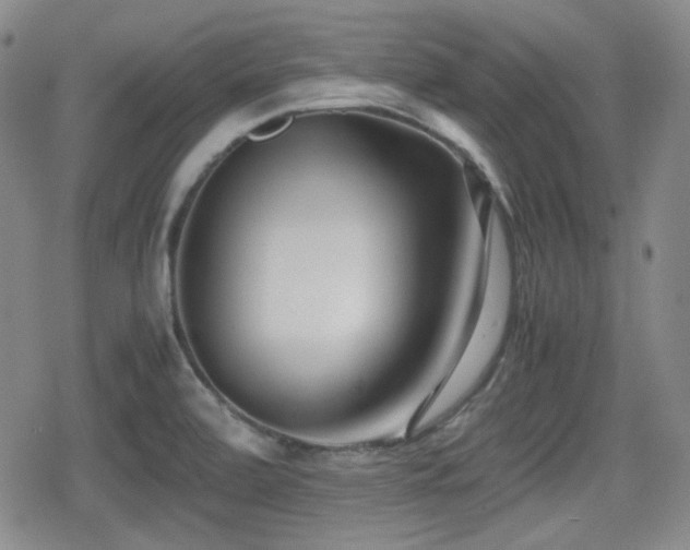 X0000080711472200612151121