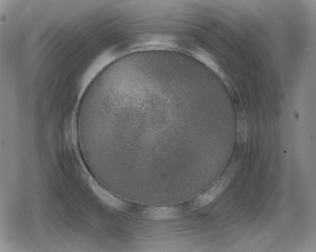 X0000080711474200612151121