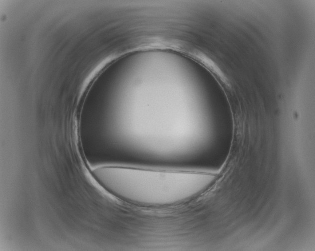 X0000080711476200612151121
