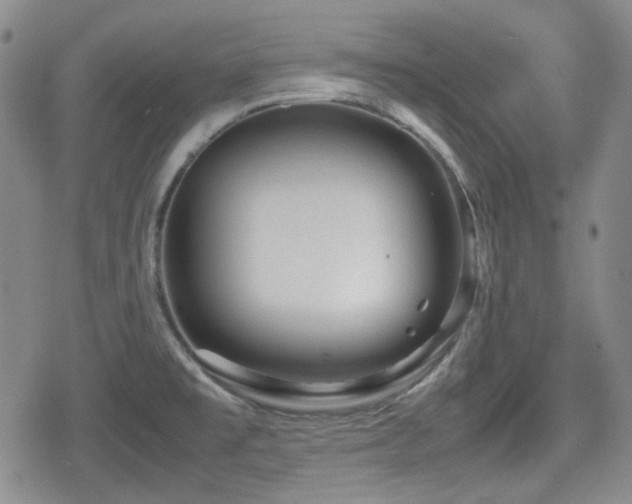 X0000080711477200612151121