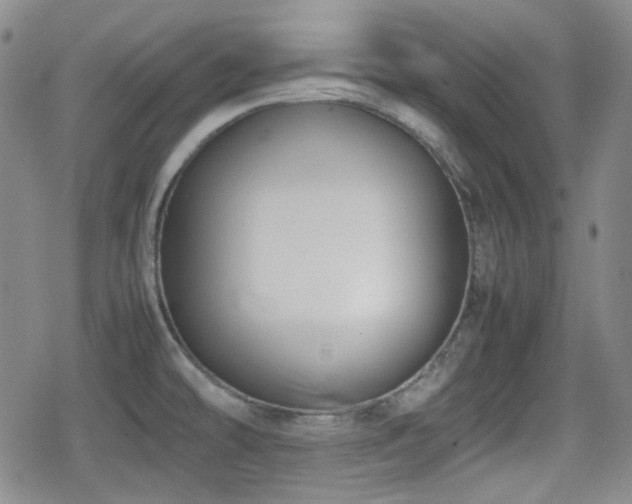 X0000080711478200612151121