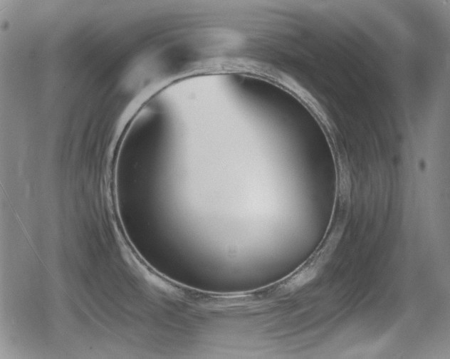 X0000080711486200612151121