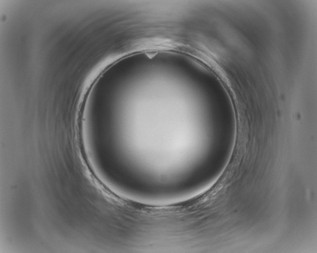 X0000080711488200612151121