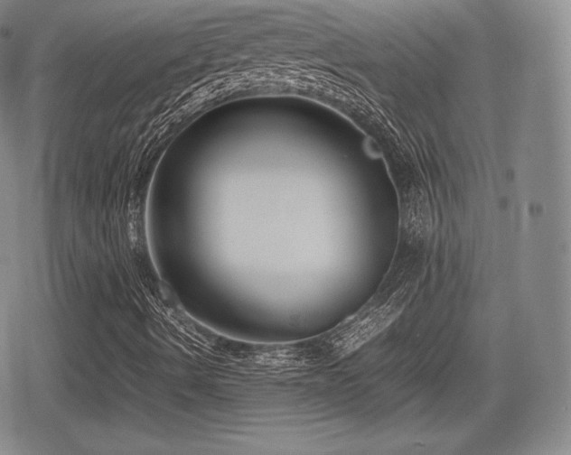 X0000080711490200612151120