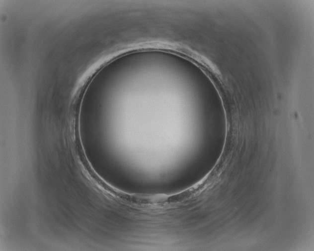 X0000080711504200612151121