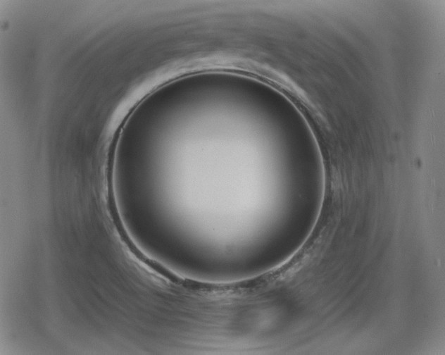 X0000080711512200612151121