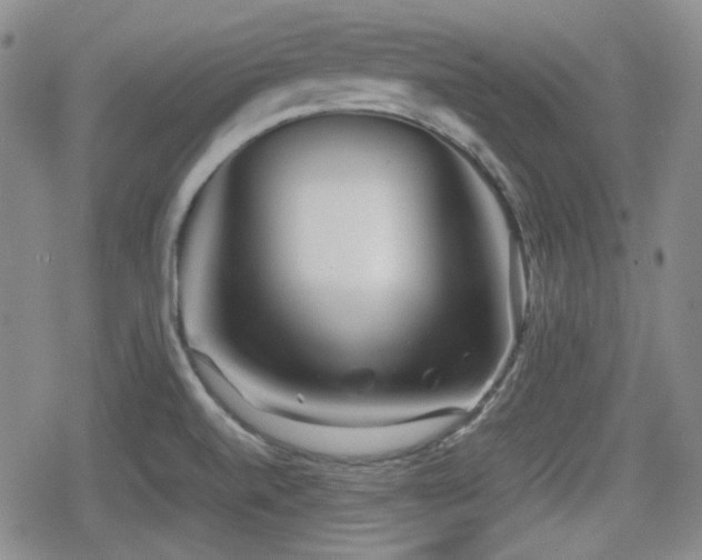 X0000080711520200612151121