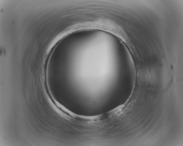 X0000080711523200612151121