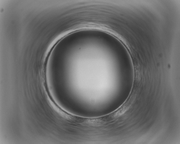X0000080711531200612151121