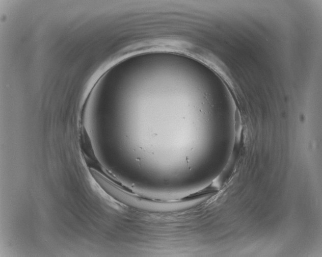 X0000080711532200612151121