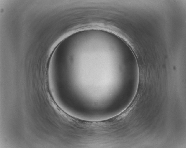 X0000080711534200612151121