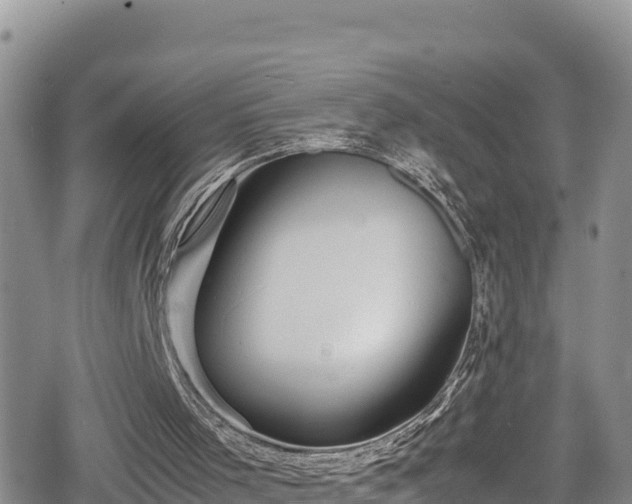 X0000080710001200612221154