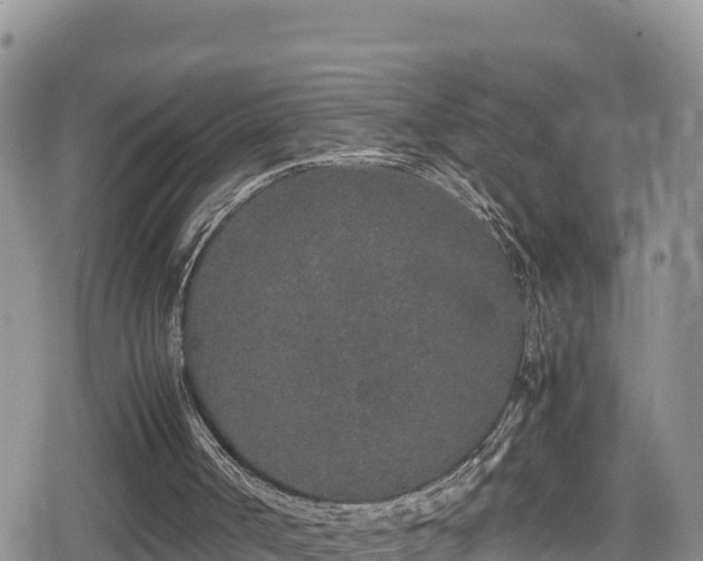 X0000080710002200612221154