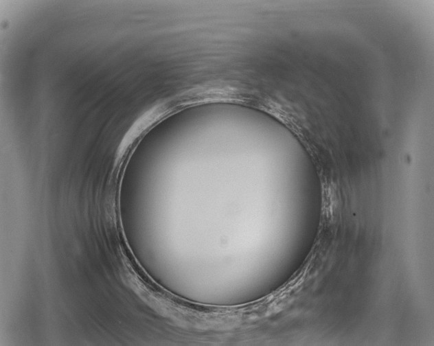 X0000080710004200612221154