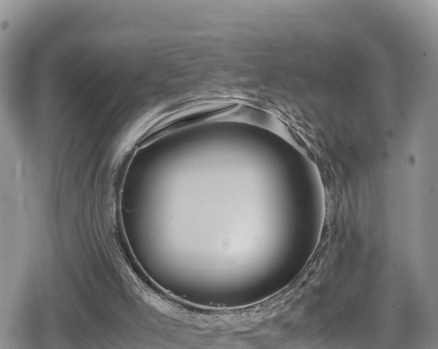 X0000080710005200612221154