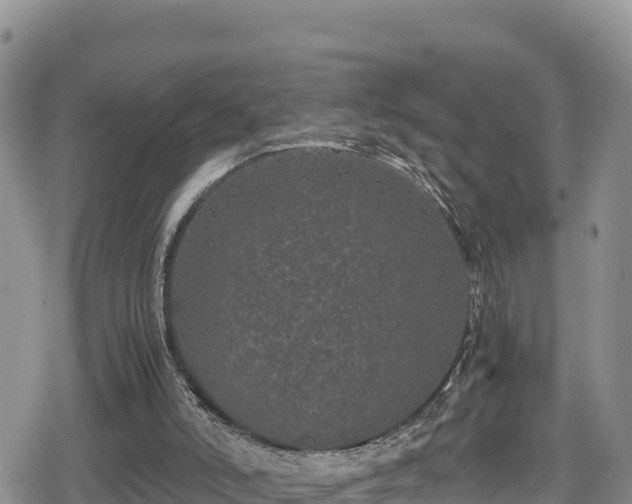 X0000080710006200612221154