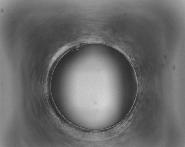 X0000080710008200612221154