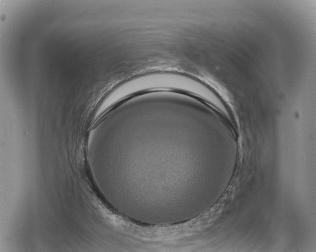 X0000080710009200612221154