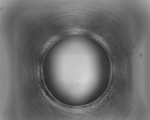 X0000080710010200612221154