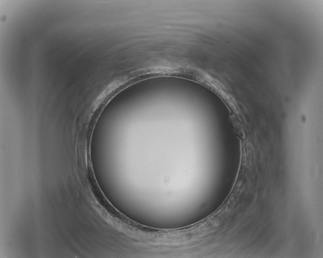 X0000080710011200612221154