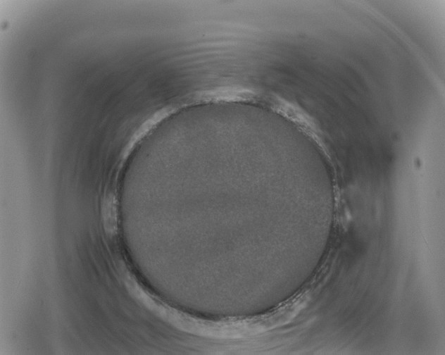 X0000080710012200612221154