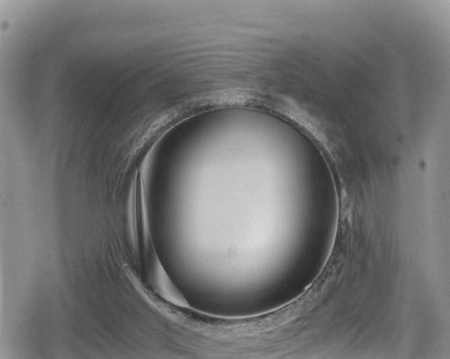 X0000080710013200612221154