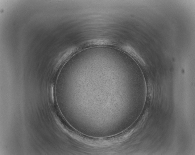 X0000080710014200612221154