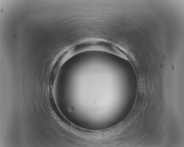 X0000080710015200612221154