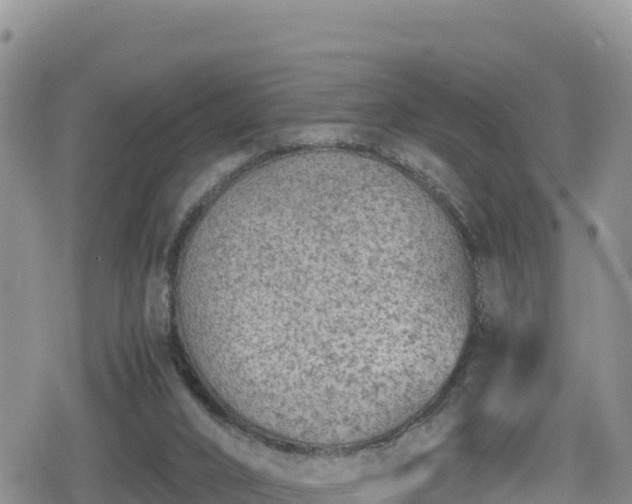 X0000080710016200612221154