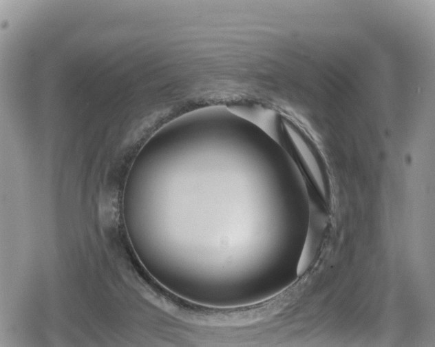 X0000080710017200612221154