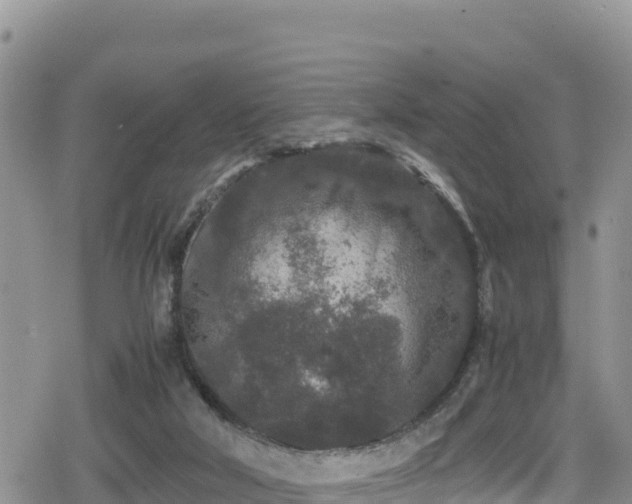 X0000080710018200612221154